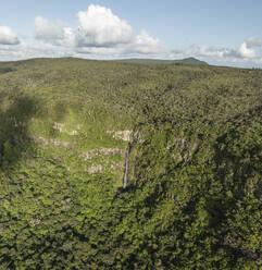 Aerial view of tropical waterfall, Riviere Noire, Mauritius. - AAEF29808