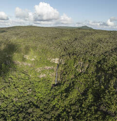 Luftaufnahme eines tropischen Wasserfalls, Riviere Noire, Mauritius. - AAEF29808