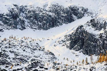 Austria, Salzburger Land, Autumn trees on snowcapped ridge - HHF05956