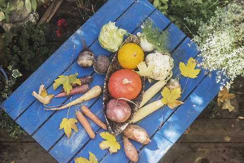 Gemüse auf dem Gartentisch liegend - HHF05968