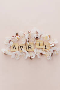 Wooden letter tiles surrounded by apricot blossoms - ONAF00785