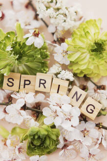 Wooden letter tiles surrounded by apricot blossoms and green ranunculus flowers - ONAF00788