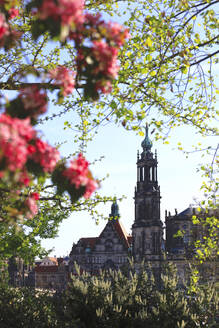 Germany, Saxony, Dresden, Church bell tower with blossoming branches in foreground - JTF02422