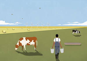Landwirt mit Eimer, der den Trog für die weidenden Kühe auf einem ländlichen Feld mit Windrädern füllt - FSIF07181