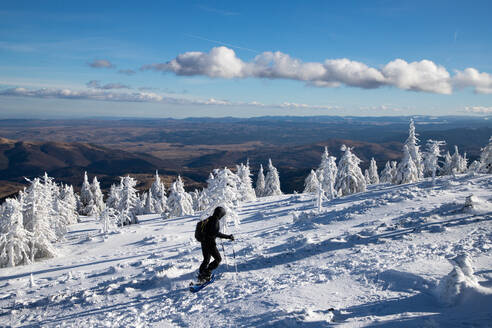 Gefrorene Winterlandschaft, Vladeasa-Gebirge, Rumänien, Europa - RHPLF34007