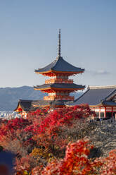 Kiyomizu-dera buddhistischer Tempel und Sanjunoto dreistöckige Pagode mit Herbstfarbe, Kyoto, UNESCO Weltkulturerbe, Honshu, Japan, Asien - RHPLF34076