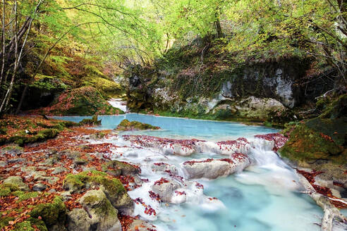 Der Fluss Urederra fließt durch den Urbasa-Wald und bietet mit seinem türkisfarbenen Wasser und den mit Herbstlaub bedeckten Ufern eine magische Kulisse - ADSF55087