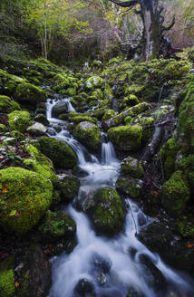 In einem friedlichen Bach, eingebettet in die grüne Umarmung des Urbasa-Waldes, ergießt sich Wasser in Kaskaden über moosbewachsene Felsen - ADSF55088