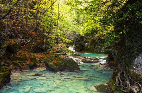 Üppiges Grün umgibt das ruhige türkisfarbene Wasser, das in Kaskaden durch den Urbasa Forest fließt und eine ruhige, magische Landschaft schafft - ADSF55089