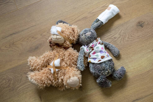 Two wellloved stuffed animals lying on a wooden floor. - ISF26579