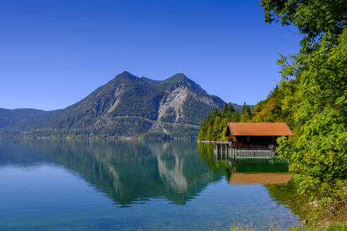 Herzogstand near sachenbach at the lake Walchensee, Upper Bavaria, Bavaria, Germany - LBF03904