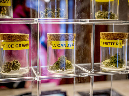 Verschiedene Cannabissorten in einer Glasvitrine in einer Apotheke - ISF26641