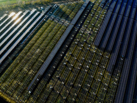 Luftaufnahme des Solarparks bei Sonnenuntergang - ISF26730