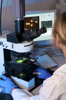 Wissenschaftler, der in einem Labor Proben unter einem Mikroskop untersucht - ISF26766