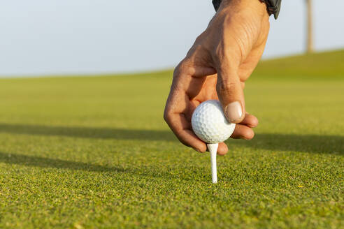 Cropped unerkennbar einzigartigen Golfer Hand bereit, eine Golf-Session zu beginnen, indem Sie den Ball auf dem Tee vor einem lebendigen grünen Kurs Hintergrund. - ADSF55187