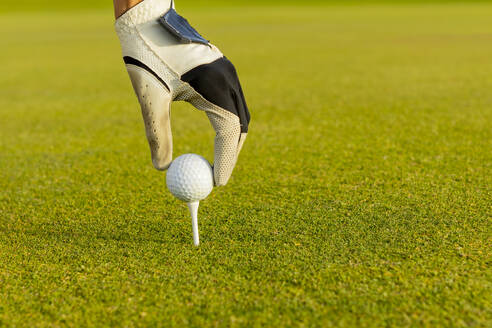 Cropped unrecognizable golfer’s hand wearing a glove places a golf ball securely on a tee, preparing for a swing on a lush golf course. - ADSF55188