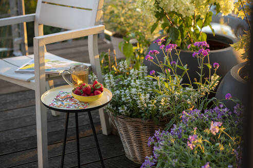 Ein Frühstück mit Tee und Erdbeeren auf einem schönen Tisch in der Sommersonne. Garten und Kräuter in voller Blüte, Blumen. - ISF27013