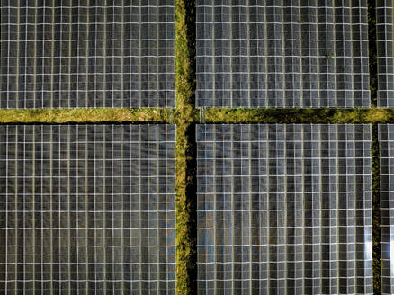 Aerial view of solar panels with moss growing between the arrays. - ISF27364