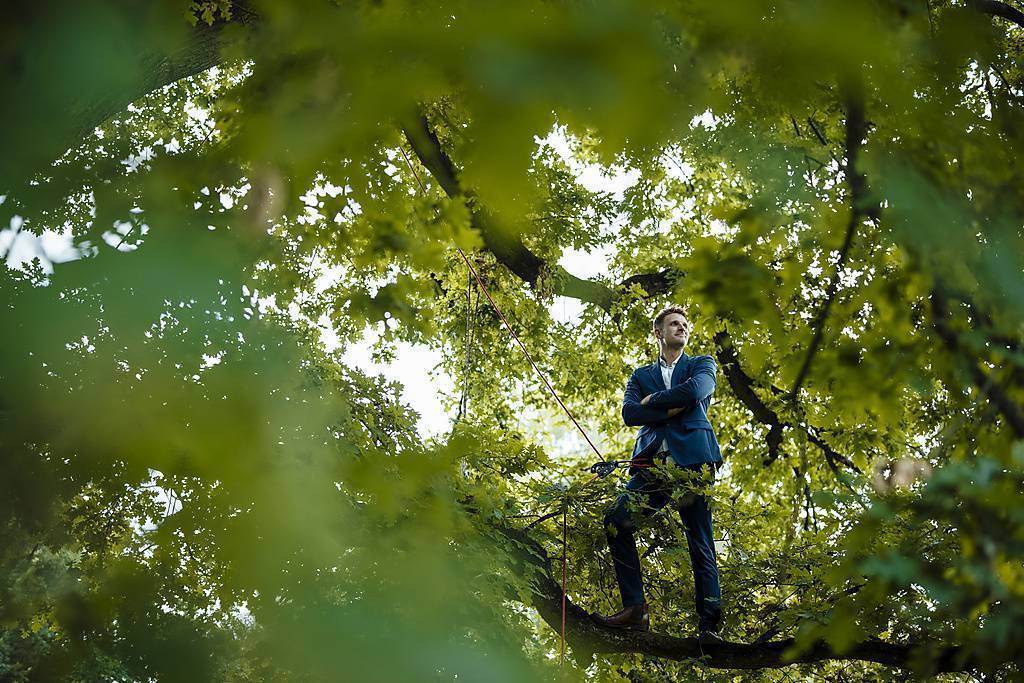 Businessman with arms crossed standing on tree branch