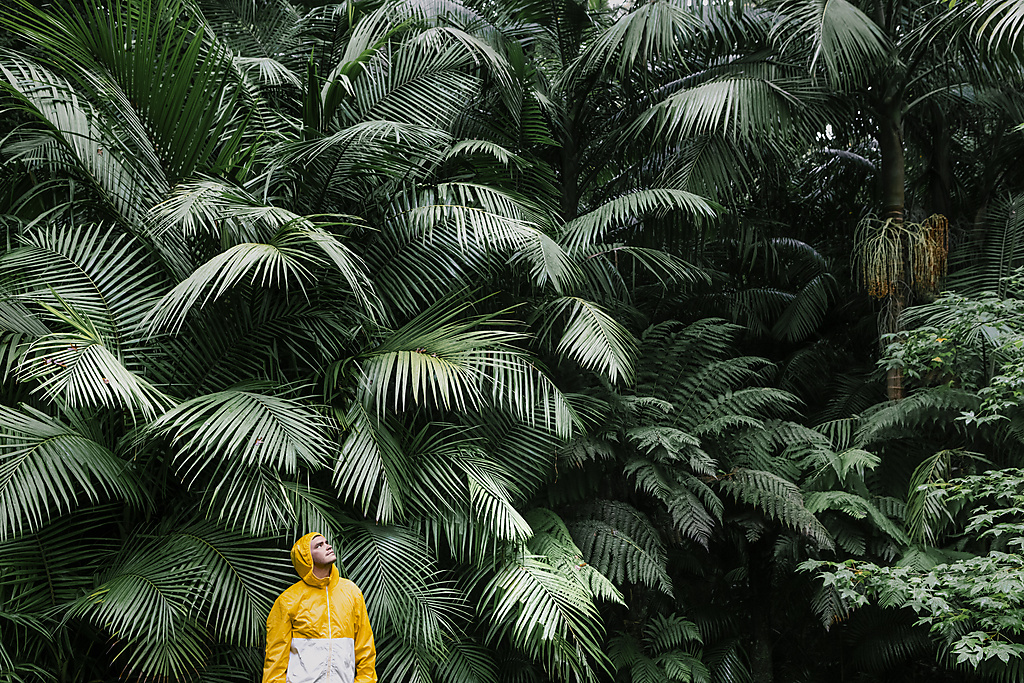 Young man standing near palm trees in rainforest